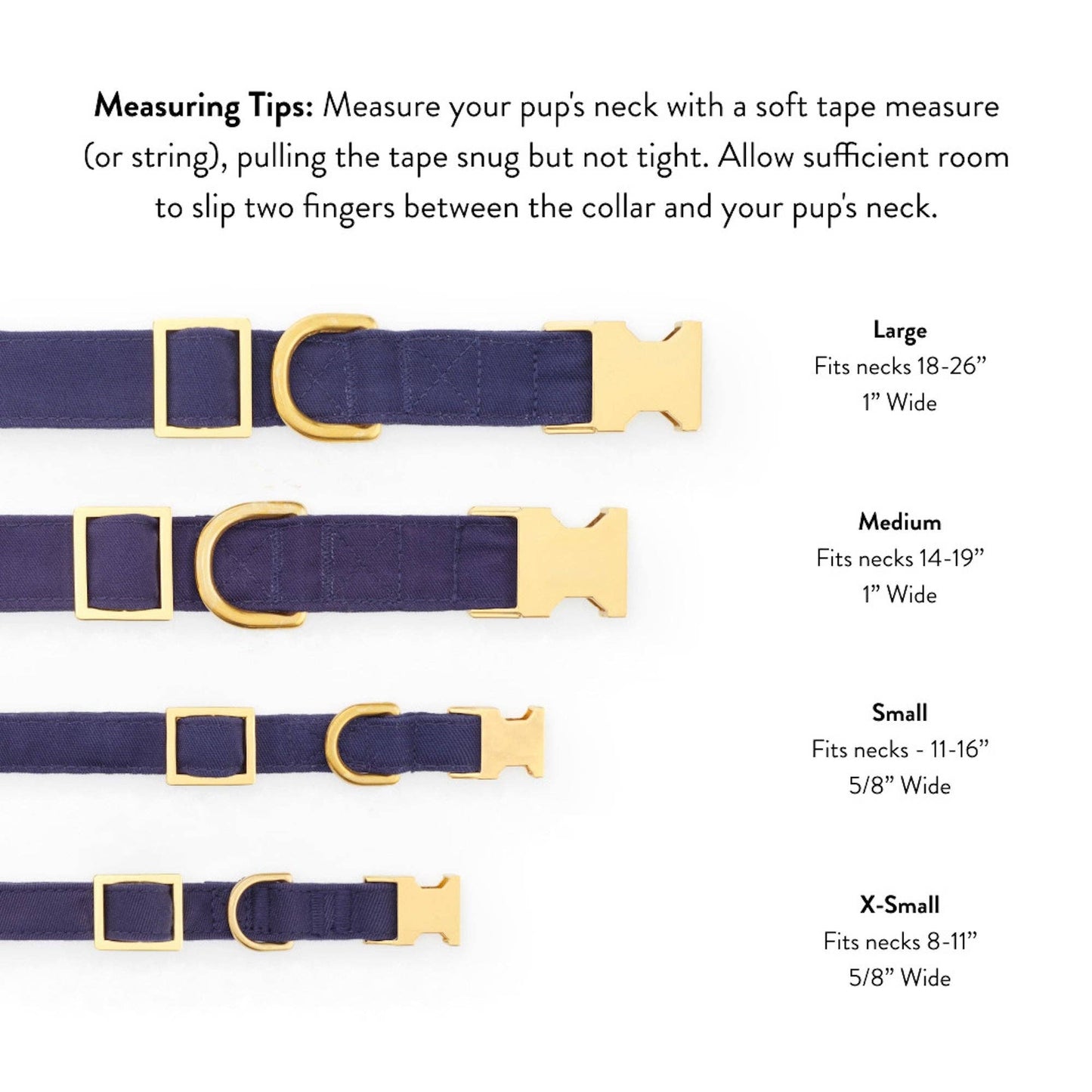 Spellbound Dog Collar: S - 11-16”
