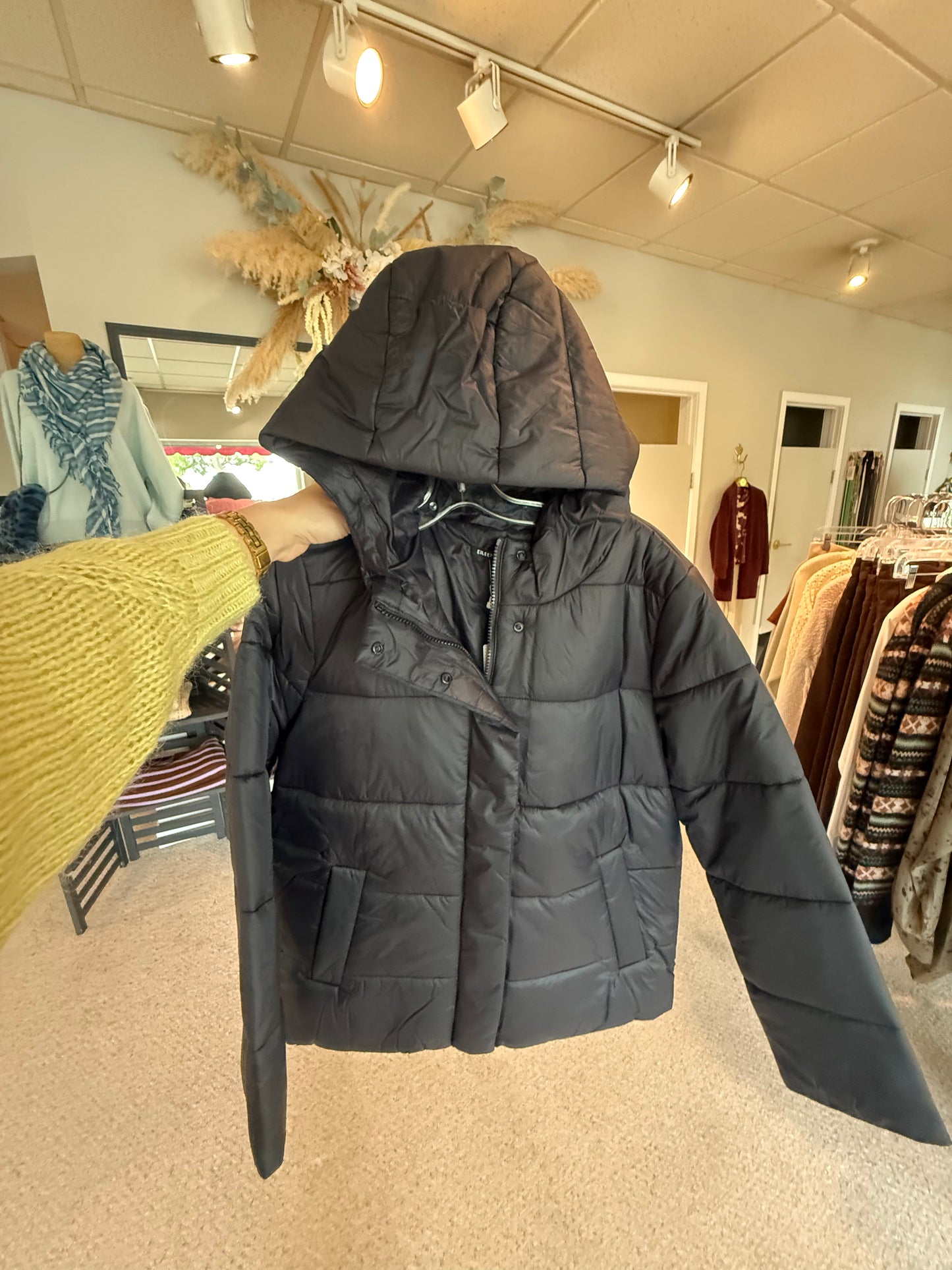 Hooded Puffer