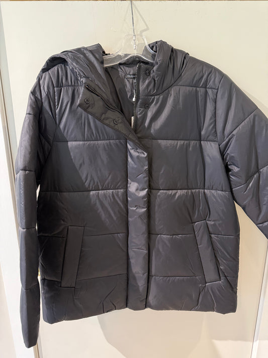 Hooded Puffer