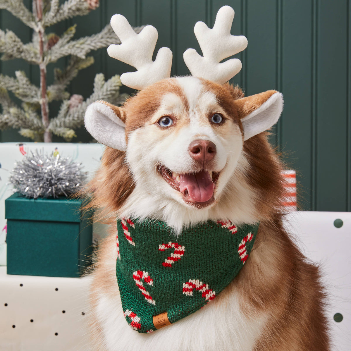 Candy Cane Knit Holiday Dog Bandana: Small