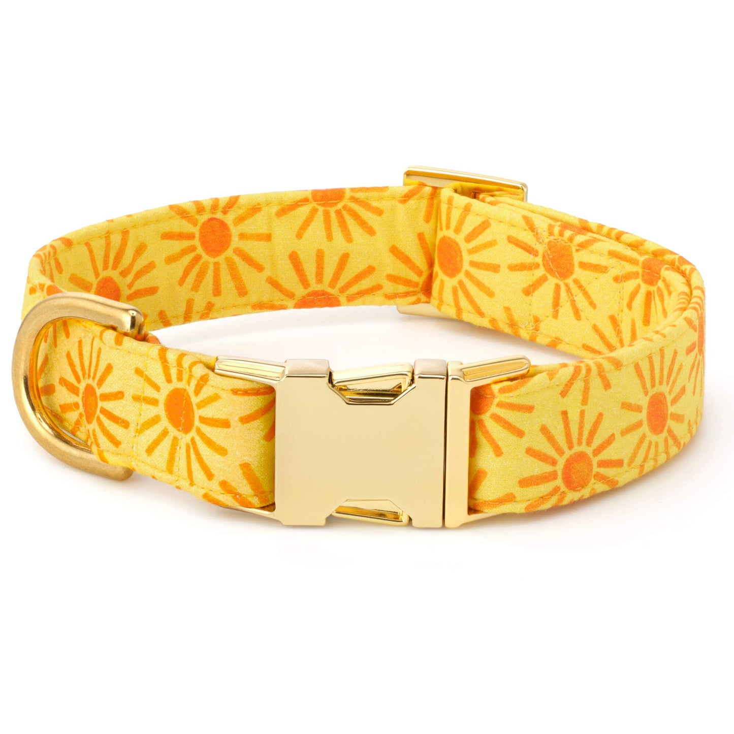 Here Comes the Sun Dog Collar: L