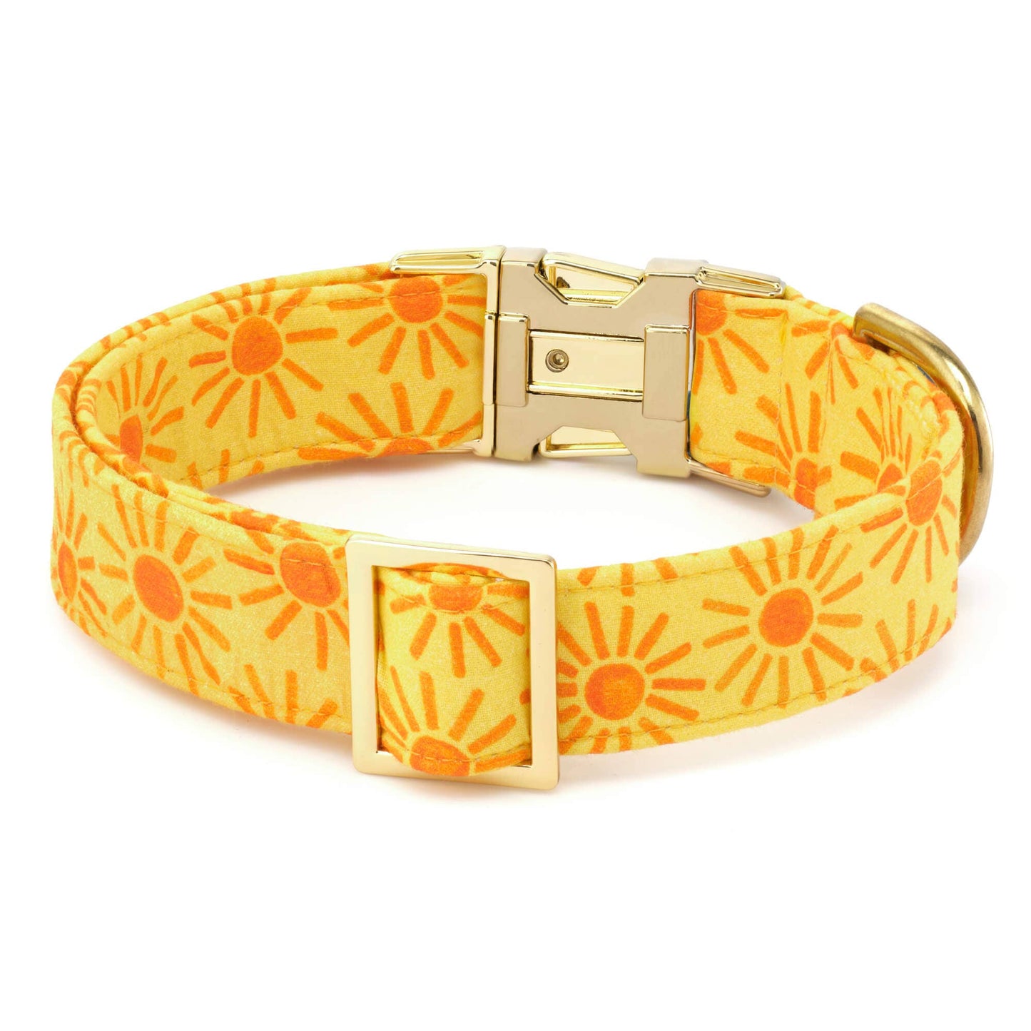 Here Comes the Sun Dog Collar: L