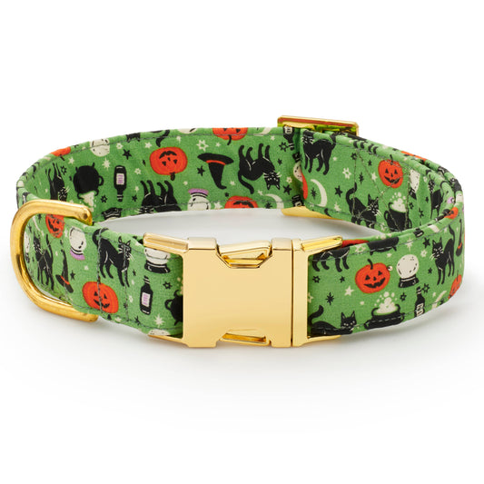 Spellbound Dog Collar: S - 11-16”