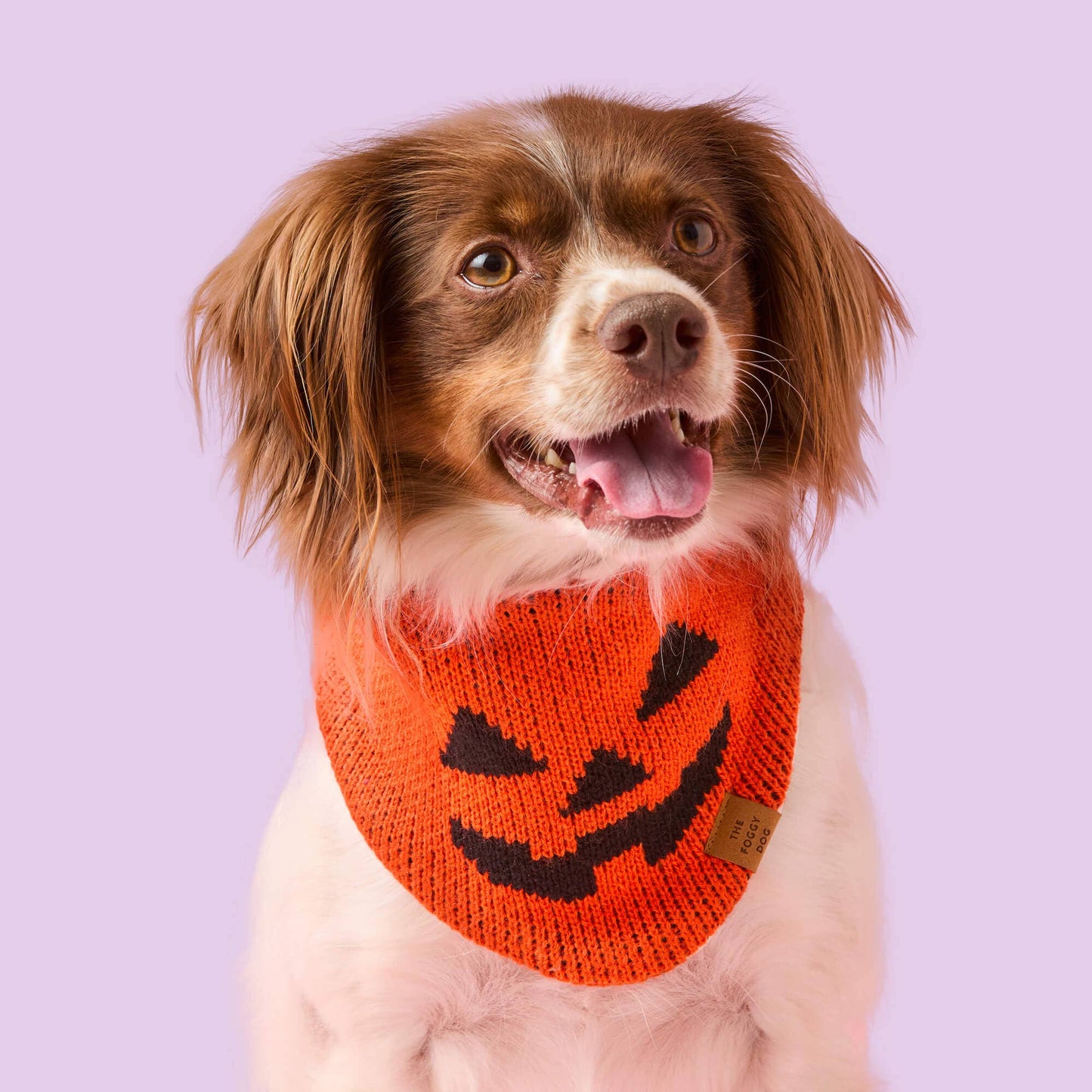 Jack-o’-Lantern Knit Dog Bandana: M - up to 18”