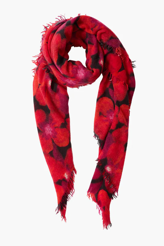 Chan Luu 100% Cashmere Scarf