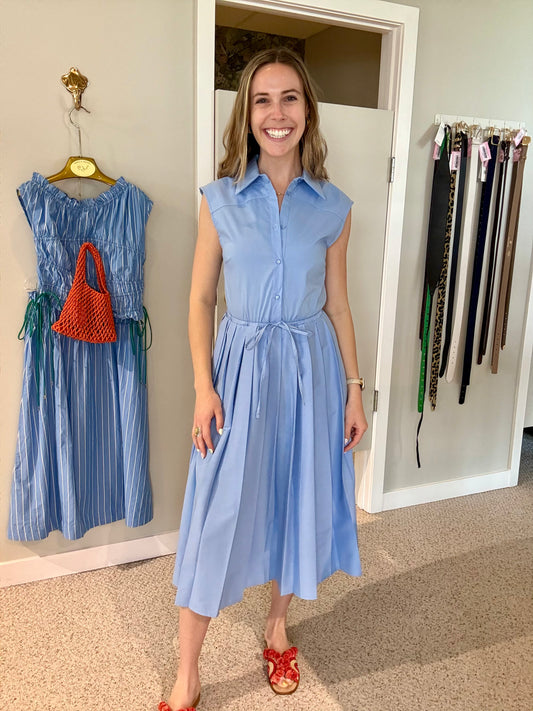 Celeste Pleated Dress