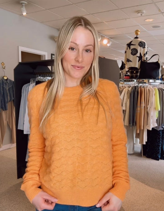 Wavy/Pointelle Solid