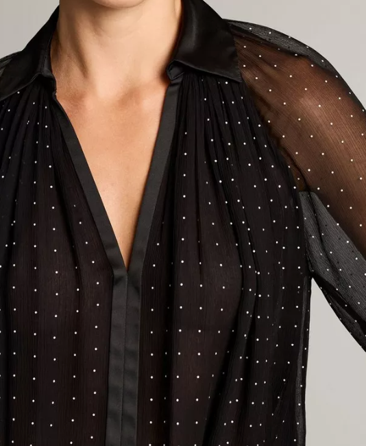 Dot Sheer Blouse