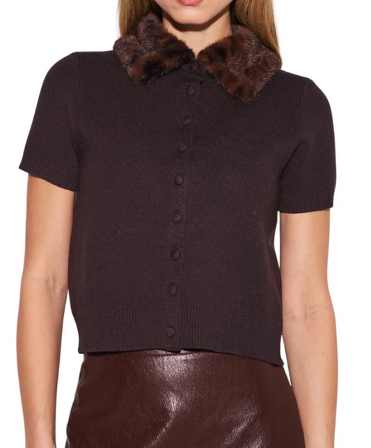 Hanson Leopard Collar Top