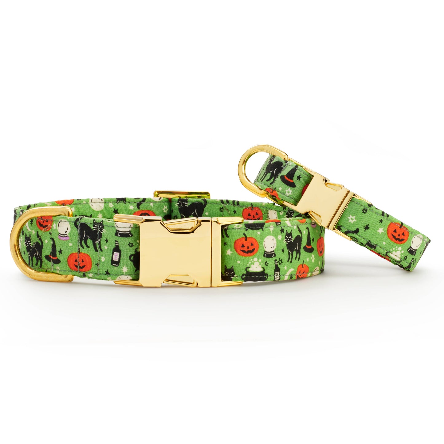 Spellbound Dog Collar: S - 11-16”