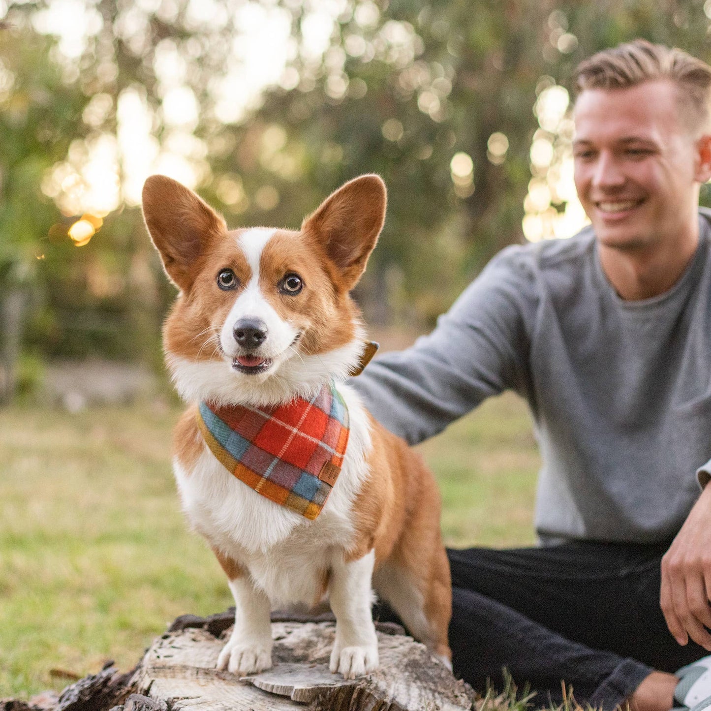 Buchanan Plaid Fall Dog Bandana: Medium