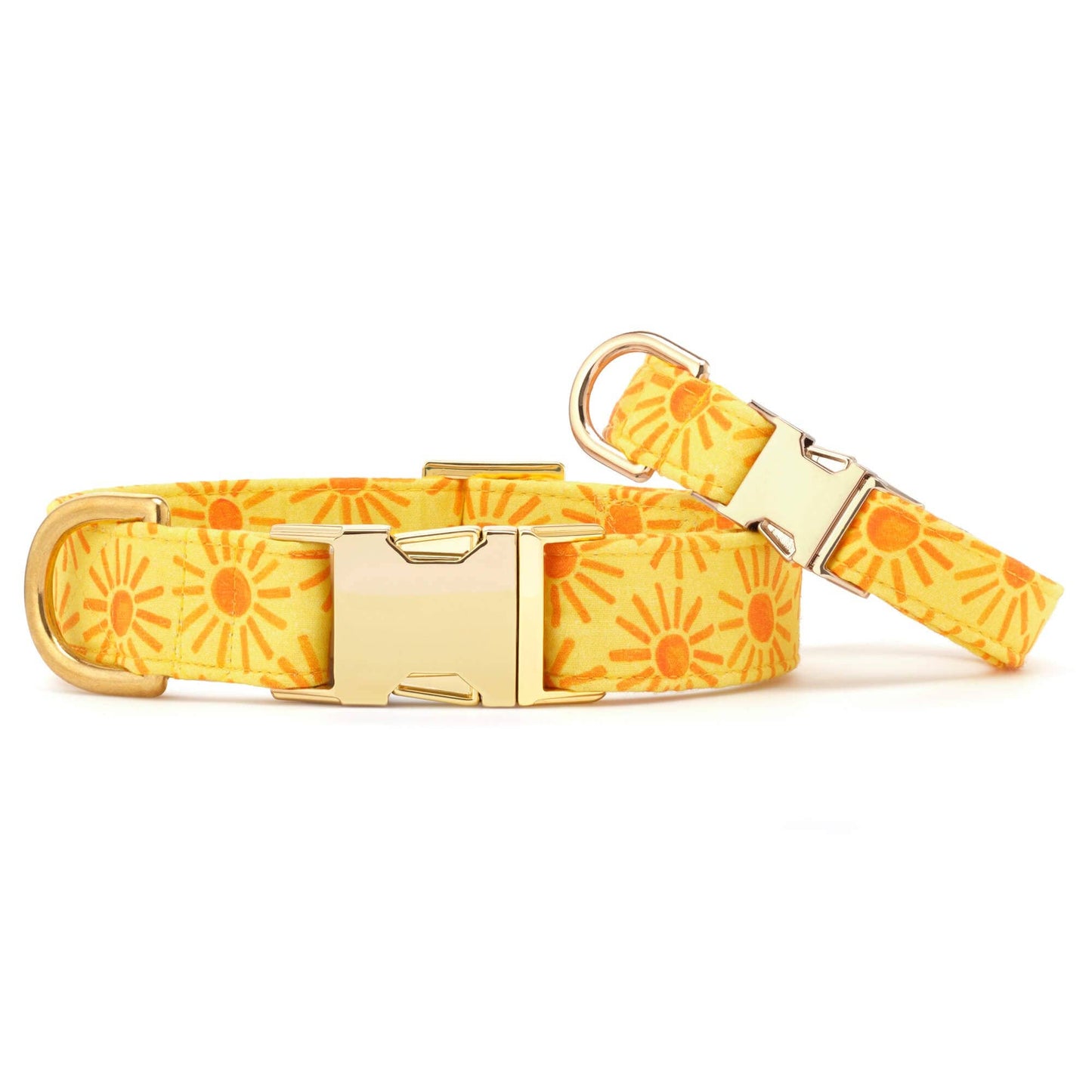 Here Comes the Sun Dog Collar: L